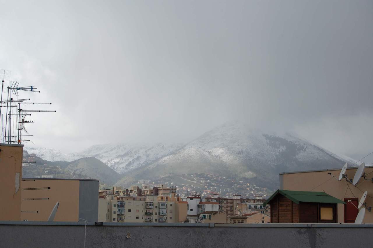 Palermo_2009-02-14.jpg